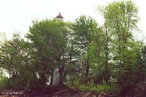 The lighthouse shines its beacon over the trees.