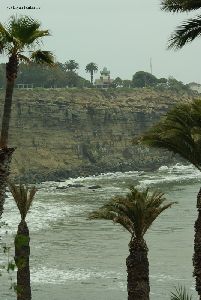 Palm trees and the cliff.