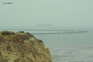 Massive container ship leaves the Port of Los Angeles. 