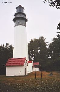 The Grays Harbor Lighthouse and several out buildings.