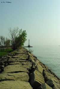 Breakwall and trees, lighthouse in the distance.