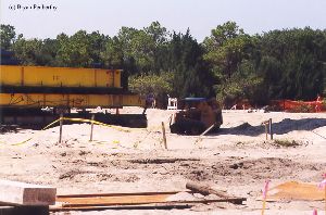 DURING MOVE: A Bobcat at the site.