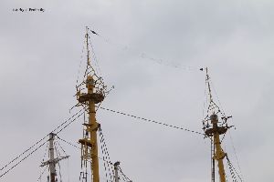 Masts of the Ambrose Lightship.