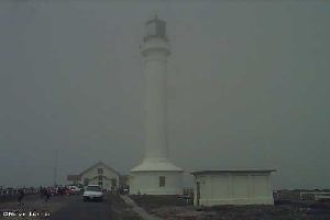 A foggy day at the Point Arena Light.