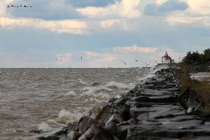 Lake Erie is muddy and angry.