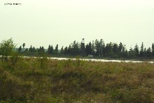 Distance shot of the lighthouse.