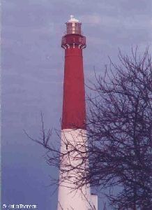 Close up of the lighthouse with a tree.