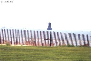 Blood Point Bar light out in the Bay.