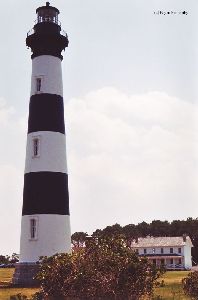 The lighthouse and shrubbery.