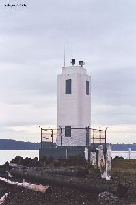 Driftwood collects near the tower.