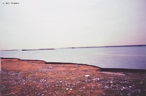 Extreme distance shot of the Buffalo Intake Crib Light.