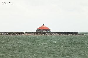 Birds sit behind the protection of the breakwall. Buffalo Intake Crib Light in the background.