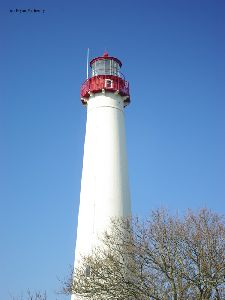 Blue sky above the tower.