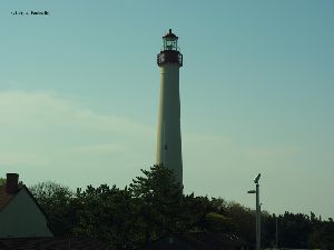 The tower stands well above the trees.