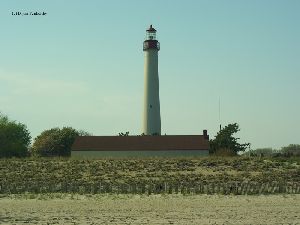The tower viewed from the beach.