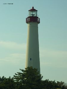 The tower above the trees.