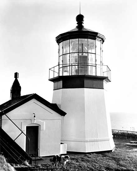 U.S. Coast Guard Archive Photo of the Cape Meares Lighthouse circa 1955