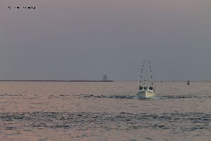 A fishing boat passes the Dog Bar Breakwater, coming back into Gloucester Harbor.