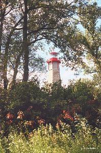 The lighthouse through trees.