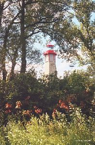 The light as seen through trees.