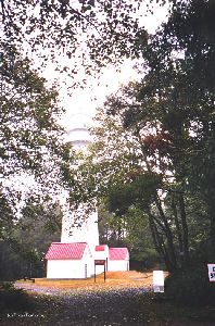 The Grays Harbor Lighthouse through the trees.