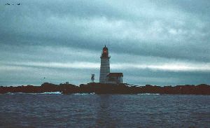 Excellent view from a fly-by.