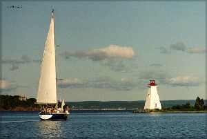 A sailboat in the harbour.