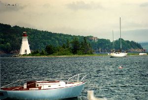 Boats in the harbour.