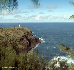 Great shot of the whole Kilauea Point Light.