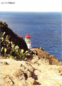 The lighthouse and the Pacific Ocean.