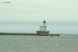 Gulls soar by the lighthouse.