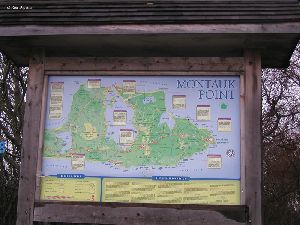 Montauk Point map.