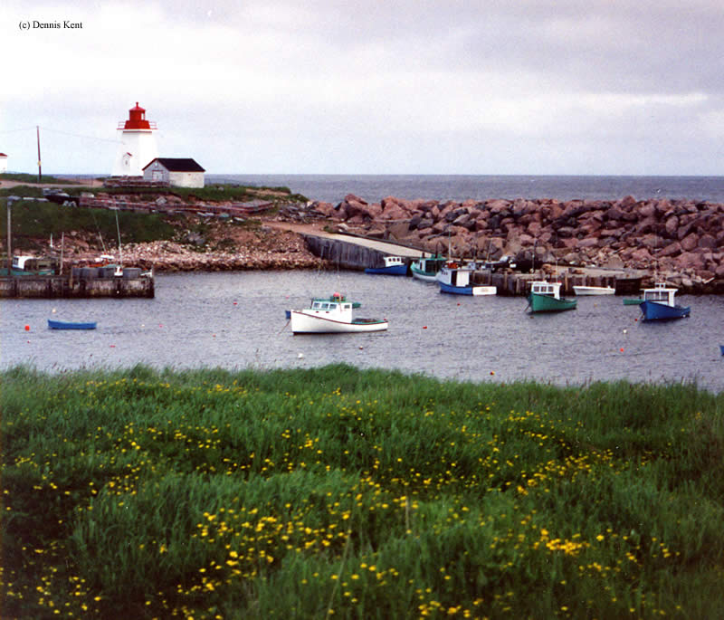 Photo of the Neil