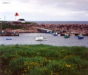 The ligthouse and the harbour.