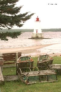 The Sandy Point Lighthouse with tree and traps.
