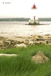 Rocks on the shore, Sandy Point Lighthouse in the background.
