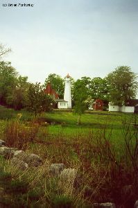 Distanst shot of the lighthouse through the lush green backyard.