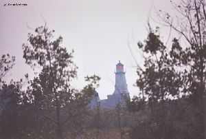 Lighthouse through trees off Fuhrman Blvd.