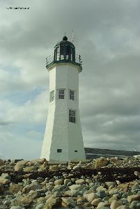 The tower.