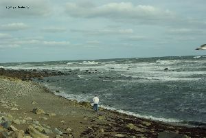 A person walks along the beach.