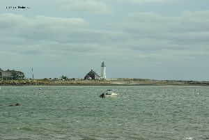 Looking at the tower from across the harbor.