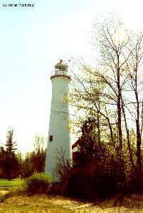 The lighthouse and trees.
