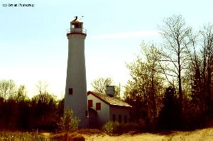 The lighthouse on the beach.