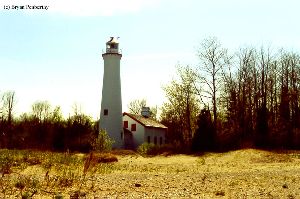 The lighthouse on the beach.