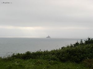 Tilly out on the rock.