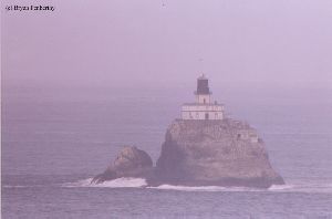 Closeup of "Tilly" out on the rock.