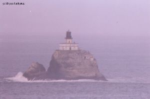 Closeup of "Tilly" out on the rock.
