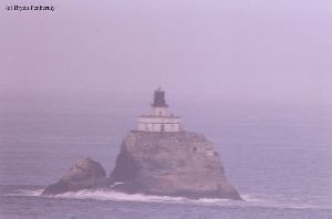 Close up of "Tilly" on the rock.