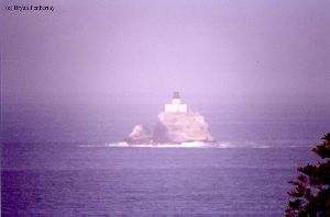 Close up of "Tilly" on the rock.
