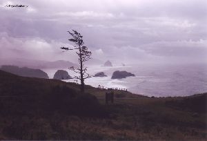 Cannon Beach